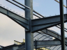 Dairy plants