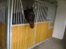 Boksy stajenne