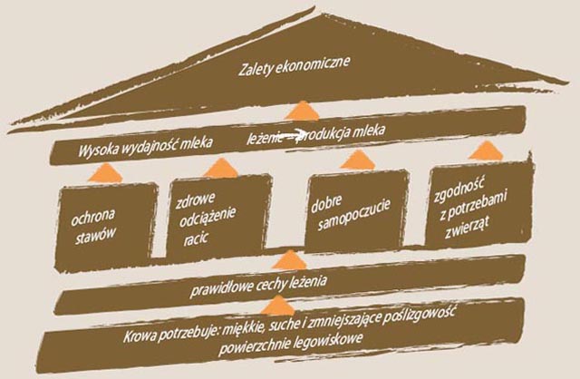 zalety zastosowania gumowych mat legowiskowych