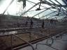 barns modernisation
