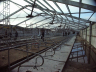 barns modernisation