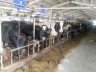 barns modernisation