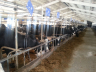 barns modernisation