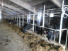 barns modernisation