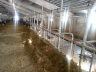 barns modernisation