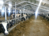 barns modernisation