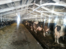 barns modernisation