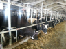 barns modernisation