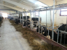 barns modernisation