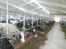 barns modernisation