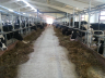 barns modernisation
