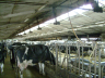 barns modernisation