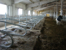 barns modernisation