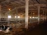 barns modernisation