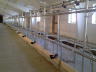 barns modernisation