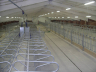 barns modernisation