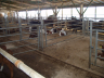 barns modernisation