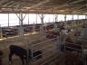 barns modernisation