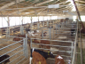 barns modernisation